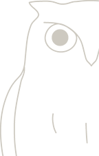 9264